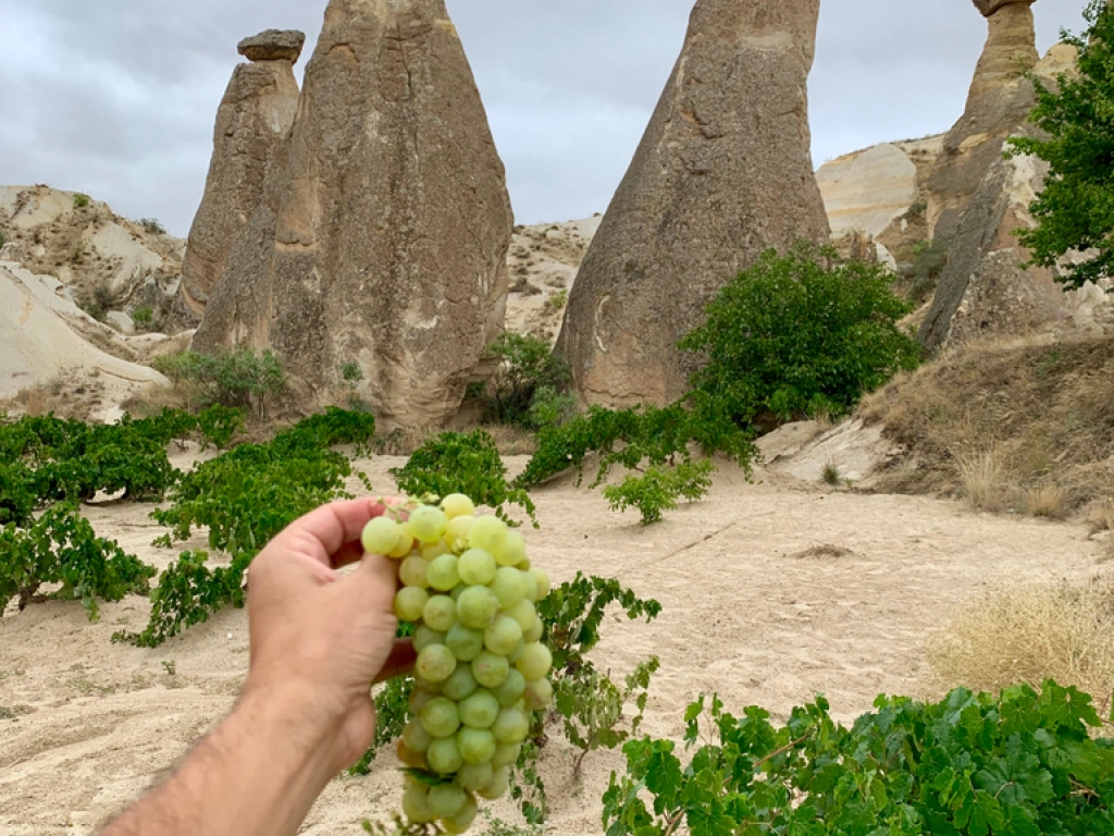 2 Days Cappadocia Tour From Istanbul